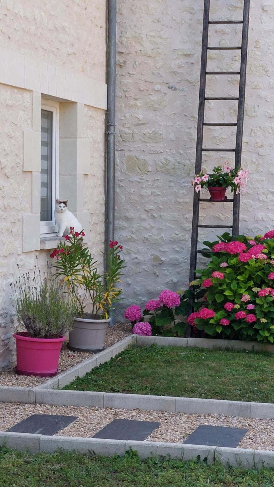 Gite Amanala Poitou Saint-Genest-d'Ambiere Exterior photo